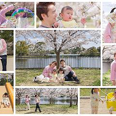 ご家族そろって公園でお花見。とっても楽しい思い出の一枚ですね。